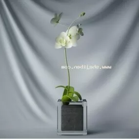 Indoor Potted Plant Square Shaped 3d model