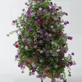 Front Door Flower Bushes 3d model