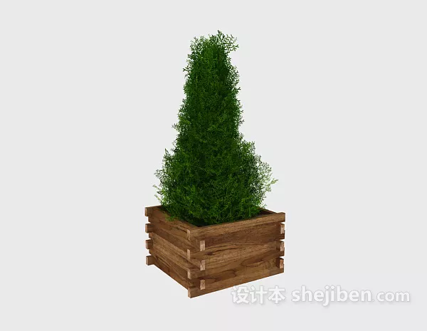 American Ash Tree 3d model
