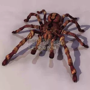 Spider Animal With Texture 3d model Spider Animal With Texture 3d model