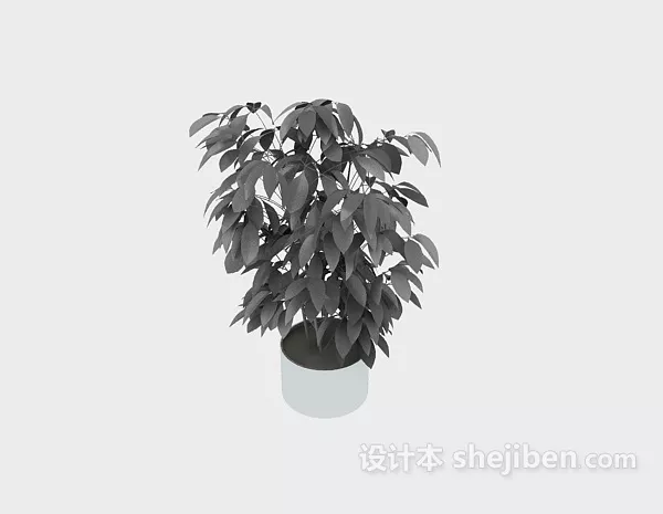 Small Green Plant Inside Glass Vase 3d model