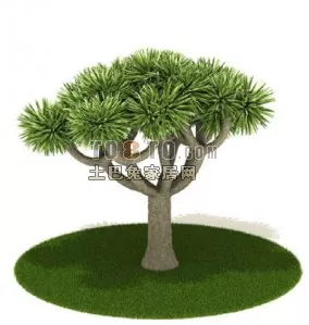 Low Poly Coconut Tree 3d model