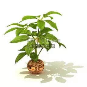 Indoor Potted Plant Medium Size 3d model