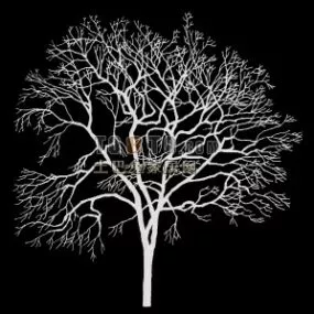 Tree With Branches Alpha Mask 3d model