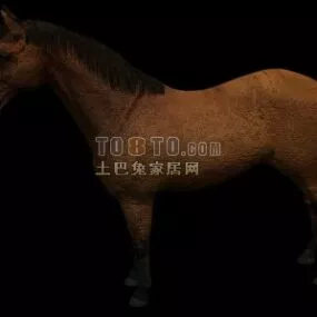 Brown Horse Farm Animal 3d model