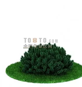 Dwarf Coconut Tree 3d model