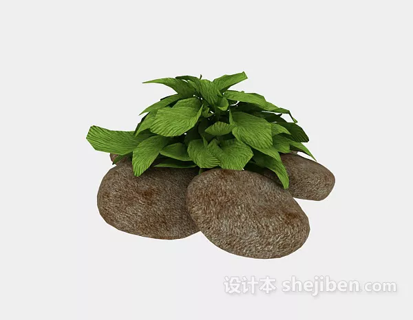 Outdoor Plant With Pebble 3d model Outdoor Plant With Pebble 3d model