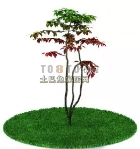 Fern Plants With Red Flower 3d model