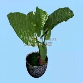 Leaf Bonsai Potted Plant 3d model