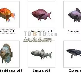 Aquarium Animal Fish 30 Sets 3d model
