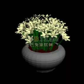 Potted Flower Yellow 3d model