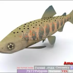Aquarium Fish With Pattern 3d model