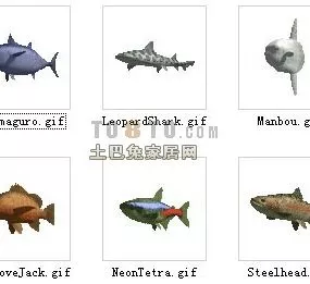 Animal Colorful Fish 30 Sets 3d model