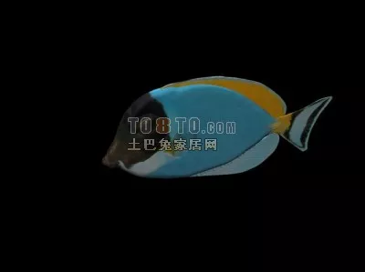 Mullet Fish 3d model