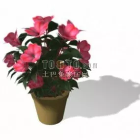 Gift Potted Flower 3d model