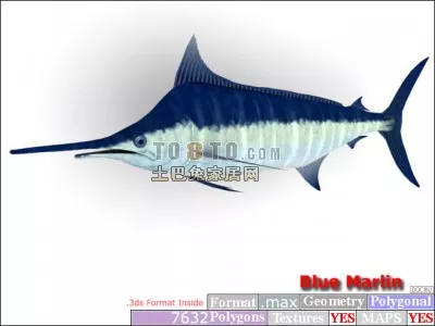 Swordfish Animal 3d model Swordfish Animal 3d model