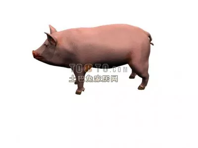 Farm Pig 3d model Farm Pig 3d model