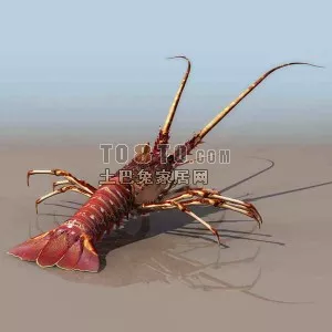 Sea Shrimp 3d model Sea Shrimp 3d model