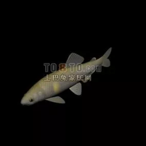 Animal Fish River Carp 3d model