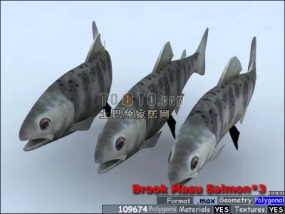 Fishes 3d model Fishes 3d model
