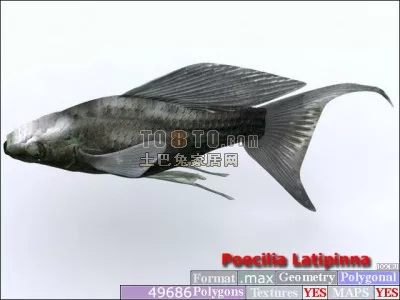 Micro Bacterium 3d model