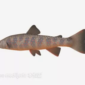 Pond Fish 3d model