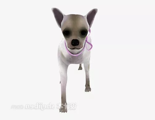 Lowpoly Cardigan Welsh Corgi 3d model
