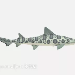 Sea Big Fish 3d model