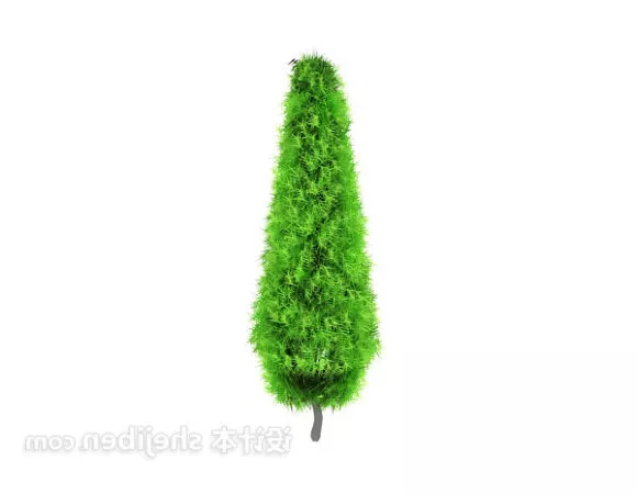 Potted Tree Bamboo 3d model