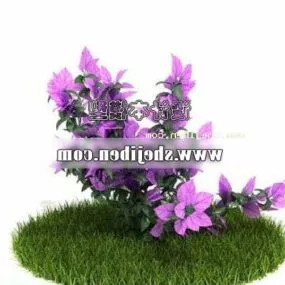 Purple Plant Flower 3d model