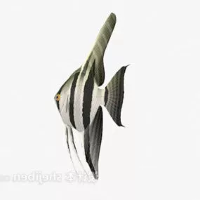 Striped Fish 3d model