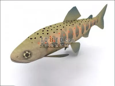 Animal Fish With Pattern On Body 3d model Animal Fish With Pattern On Body 3d model