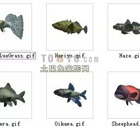 Animal Aquarium Fish 30 Sets 3d model