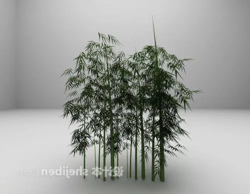 Bamboo Grove Plant 3d model