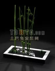 Bonsai Tree With Pot 3d model