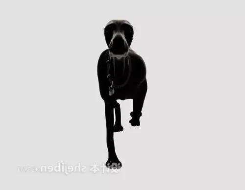 Cartoon Dog Rigged 3d model