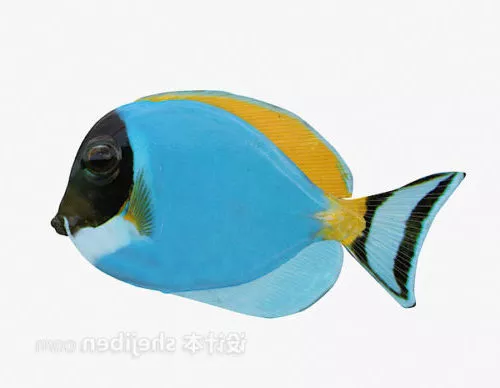 Deep Ocean Monster Fish 3d model