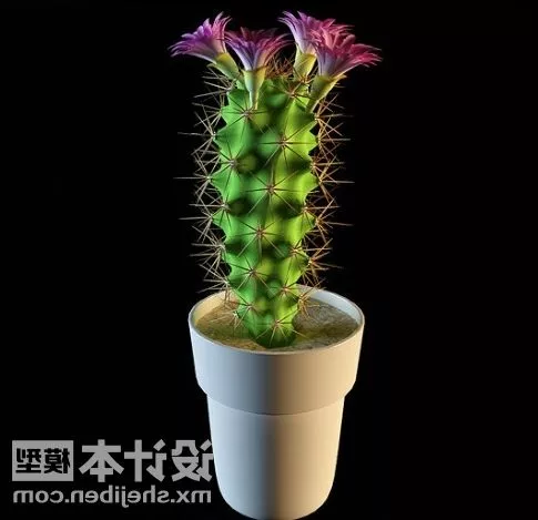 Large Indoor Potted Plant V1 3d model