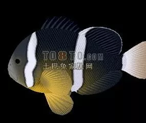 Carp Animal 3d model