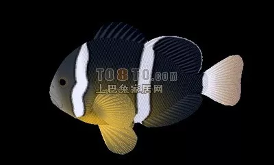 Carp Animal 3d model Carp Animal 3d model