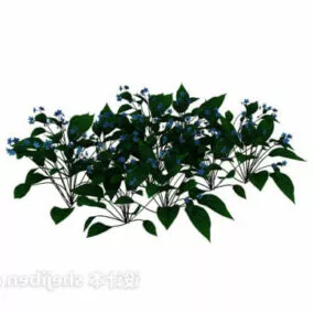 Courtyard Plant Bushes 3d model