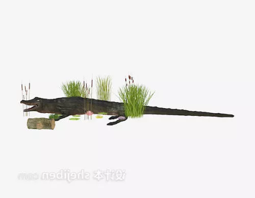 Crocodile 3d model Crocodile 3d model