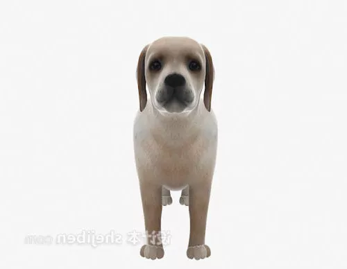 Lowpoly Dog Animal 3d model