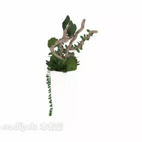 Decorative Plant Potted 3d model