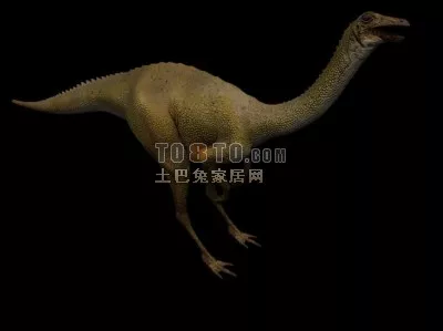 Wild Dinosaur Animal 3d model Wild Dinosaur Animal 3d model