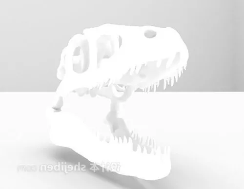 Man Skeleton 3d model