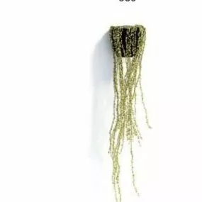 Dry Vine Indoor Potted Plant Decorating 3d model