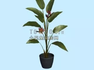 Marble White Pot 3d model