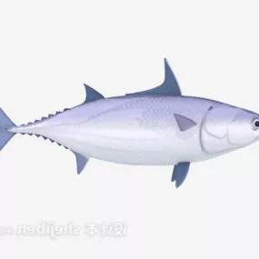 Sea Fish 3d model