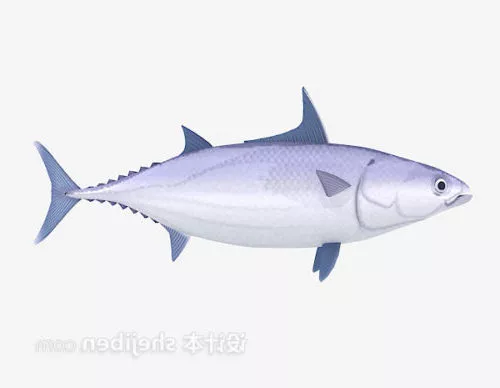 Sea Fish 3d model Sea Fish 3d model